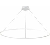 Подвесной светильник ST luce ST605.543.72