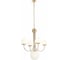 Подвесная люстра ST luce SL1504.203.05 1