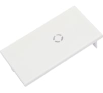 Торцевая заглушка ST luce SKYLINE 220 ST015.522.15