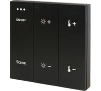 Панель управления трековой системой ST luce SKYLINE 220 ST015.400.99