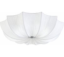 Потолочный светильник ST luce SL358.502.05