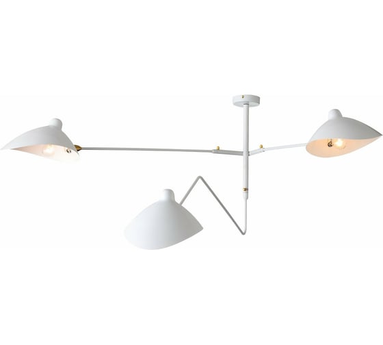 Потолочная люстра ST luce SL305.502.03