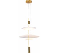 Подвесная люстра ST luce SL6101.213.01