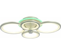 Потолочный светильник EVOLED SLE200392-04RGB