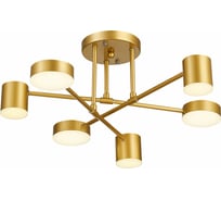 Потолочный светильник Evoluce SLE201022-06