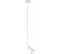 Подвесной светильник ST luce SL1206.503.01