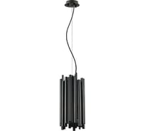 Подвесная люстра Lightstar 816027