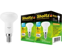 Комплект из 2 светодиодных ламп Sholtz рефлектор R39 6Вт E14 3000К 220В пластик LER4139D
