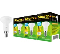 Комплект из 3 светодиодных ламп Sholtz рефлектор R39 6Вт E14 3000К 220В пластик LER4139T