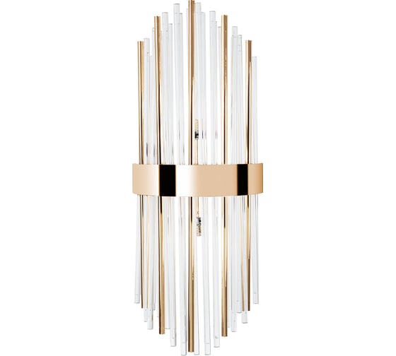 Светильник ARTE LAMP ACAPULCO A1007AP-2GO