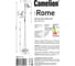 Напольный светильник Camelion KD-432F C01 белый Rome, 2хE27, 40Вт, 230В, 14552 5