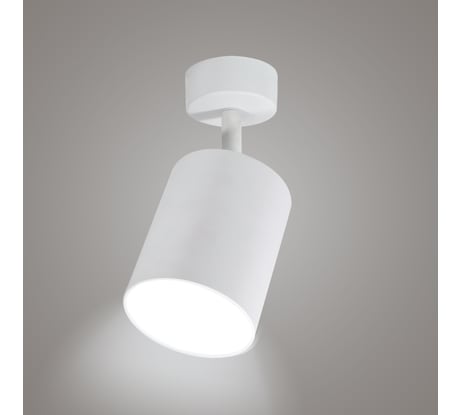 Поворотный накладной светильник RITTER Arton цилиндр, 80x100, LED, 12Вт, 960Лм, 4200К, алюминий, белый 59974 6