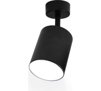 Поворотный накладной светильник Ritter Arton цилиндр, 80x100, LED, 12Вт, 960Лм, 4200К, алюминий, черный 59975 3