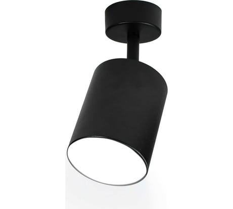Поворотный накладной светильник Ritter Arton цилиндр, 80x100, LED, 12Вт, 960Лм, 4200К, алюминий, черный 59975 3