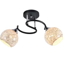 Люстра Rivoli Melissa 9139302 2xЕ27, 60 Вт, модерн Б0054900