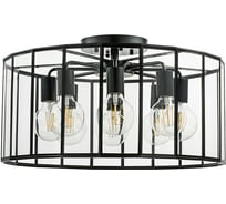 Потолочная люстра Lightstar 798287