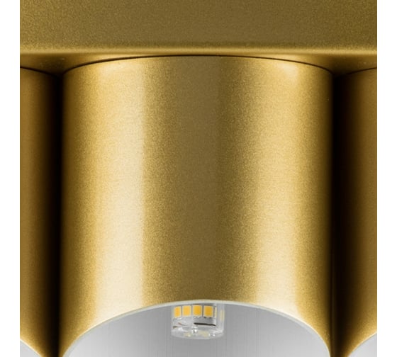 Потолочная люстра Lightstar 720402