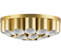 Потолочная люстра Lightstar 720222