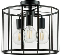 Потолочная люстра Lightstar 798237