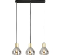 Подвесной потолочный светильник Rivoli Kassandra 3118303 3хЕ14, 40 Вт, модерн Б0054679