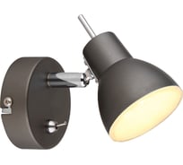Настенно-потолочный спот Rivoli Renata 6158701 светодиодный GR LED 1x4 Вт 3200К поворотный Б0054695