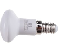 Светодиодная лампа General Lighting Systems GLDEN-R39-B-4-230-E14-4000 660161