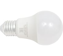 Светодиодная лампа General Lighting Systems GLDEN-WA60-B-9-230-E27-4000 660149