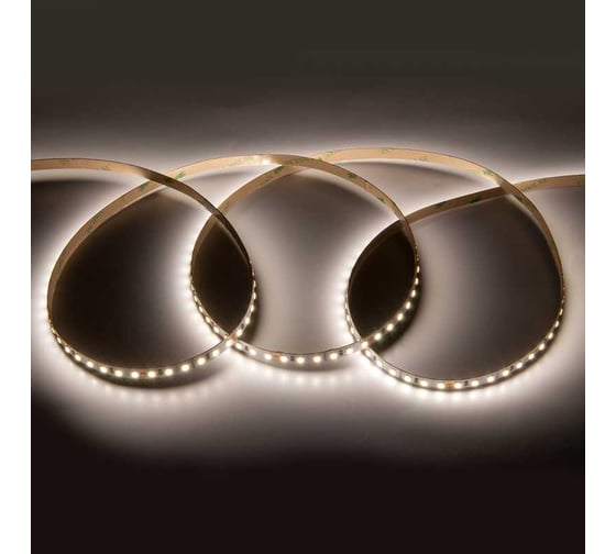 Светодиодная лента General Lighting Systems 5 м, 9,6Вт/м, 12В, 8мм, 7Лм/чип, IP20, 4500К, нейтральный белый GLS-2835-120-9.6-12-IP20-PRO-4 501220 1