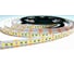 Лента светодиодная General Lighting Systems GLS-2835-180-14.4-12-IP20-6 2880Лм/м 14,4Вт/м 180диод/м 12В 6500К-холодно-белый IP20 50метров 501470 1