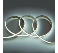 Лента светодиодная General Lighting Systems GLS-COB-320-8-24-IP20-6, 5 метров, 8Вт/м, 24В, 8мм, 320 диодов/м, 900Лм/м, IP20, 6500К - холодный белый 502921
