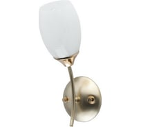 Бра MW LIGHT Олимпия 1-60W E14 220 V 638026601