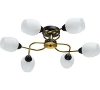 Люстра MW LIGHT Олимпия 6-60W E14 220 V 638018406