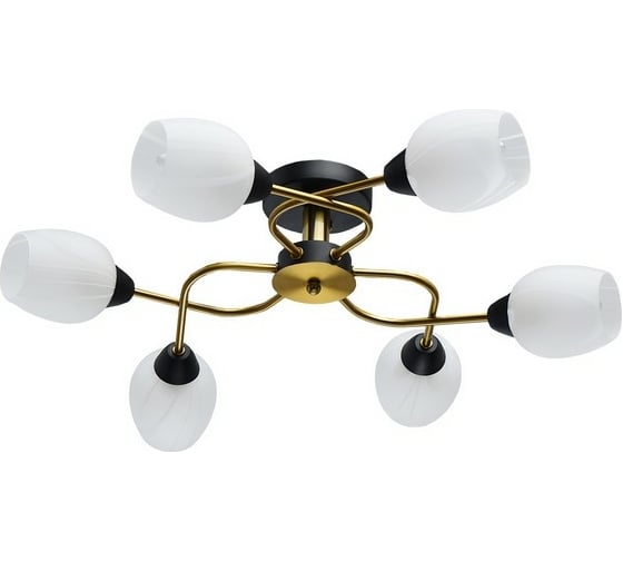 Люстра MW LIGHT Олимпия 6-60W E14 220 V 638018406 1