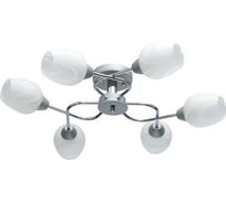 Люстра MW LIGHT Олимпия 6-60W E14 220 V 638018506