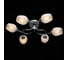 Люстра MW LIGHT Олимпия 6-60W E14 220 V 638018506 2