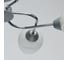Люстра MW LIGHT Олимпия 6-60W E14 220 V 638018506 7