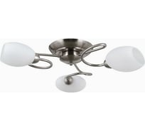 Люстра MW LIGHT Фиеста 3-40W E14 220 V 267014503
