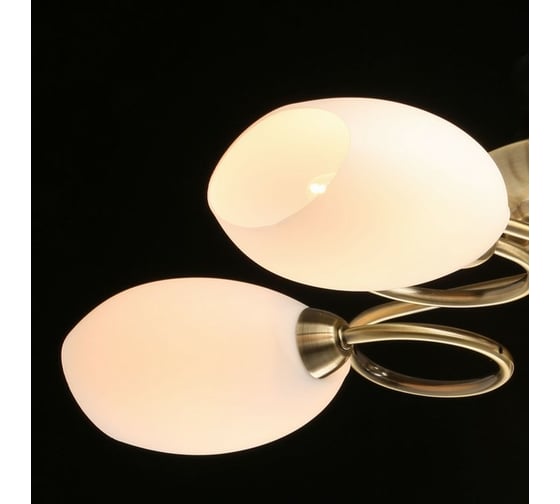 Люстра MW LIGHT Фиеста 5-40W E14 220 V 267011805