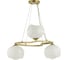 Люстра ODEON LIGHT E14, 3х40W, WATERLILY 4873/3 1