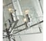 Люстра ODEON LIGHT E27, 7х60W, ELEGANTE 4888/7 4