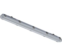 Светильник INNOLUX 14 728 ДСП-01-ПП-45-1200-4К-IP65-A3 14728