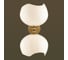 Настенный светильник ODEON LIGHT E14 2*40W WATERLILY 4873/2W 5