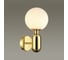 Настенный светильник ODEON LIGHT G91*40W OKIA 4669/1W 2