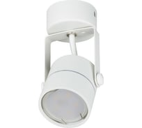 Накладной декоративный светильник Fametto DLC-S610 GU10 WHITE UL-00008869