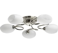Люстра MW LIGHT Фиеста 5-40W E14 220 V 267012905