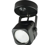 Накладной декоративный светильник Fametto DLC-S613 GU10/B BLACK UL-00009424
