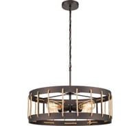 Подвесной светильник Vele Luce Wong E27 60 VL6426P14