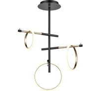 Потолочный светильник Vele Luce Bellezza LED 55 VL7262L03