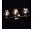 Бра MW LIGHT Джестер 3-60W E14 220 V 104022203 6