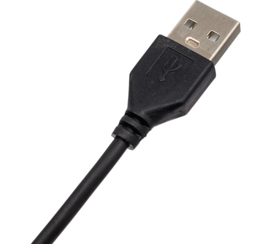 Гирлянда ЭРА Нить с пультом, RGB, 10 м, 220 В, с таймером, с музыкой Б0055993